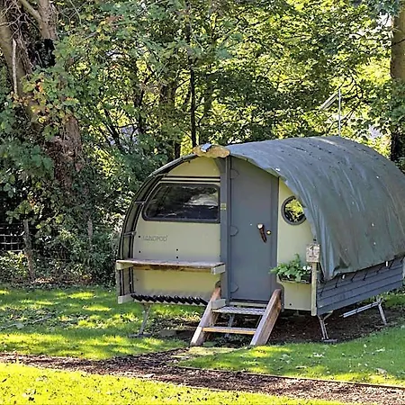Yha Coniston Holly 3*